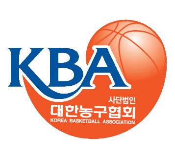 Korea 0-2013 Primary Logo iron on heat transfer